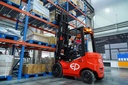 Elektrische heftruck - EFL203 Triplexmast 4800mm Pack